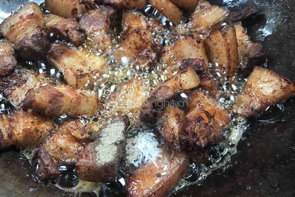 红烧肉（还是老家的味道最好吃）的做法图解16