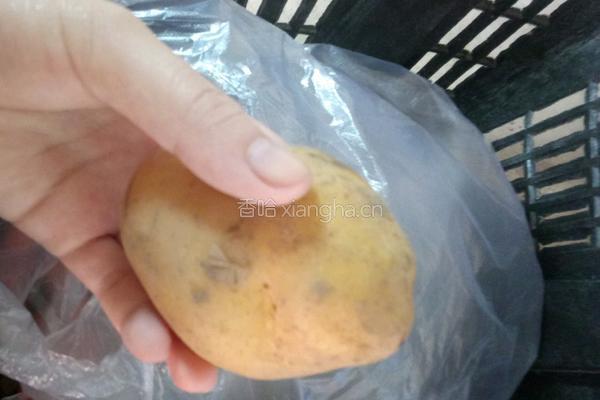 爆炒土豆丝的做法图解1