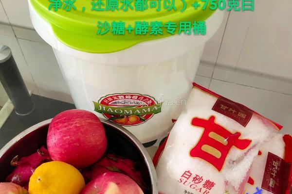 自酿火龙果酵素的做法图解1