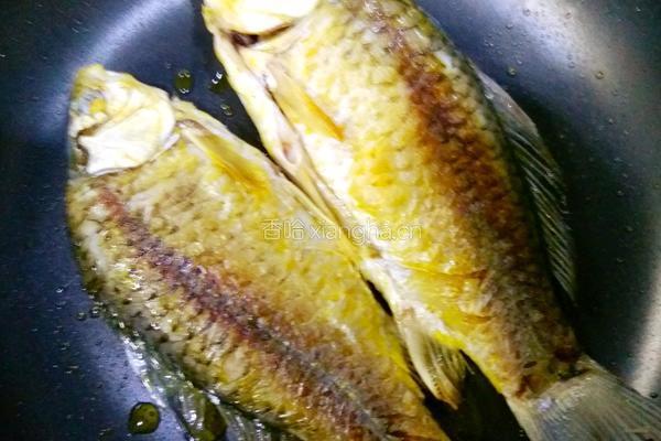 鲫鱼豆腐汤的做法图解3