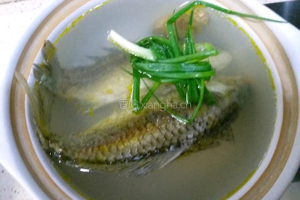 鲫鱼豆腐汤的做法图解5