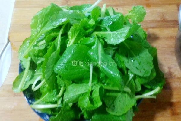 小白菜肉馄饨的做法图解5