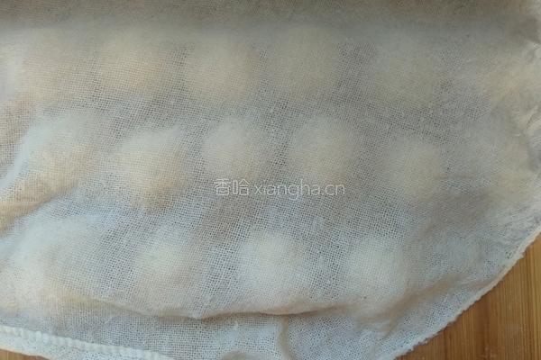 老婆饼（猪油版）的做法图解18