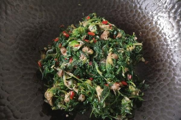 巧拌野菜的做法图解7