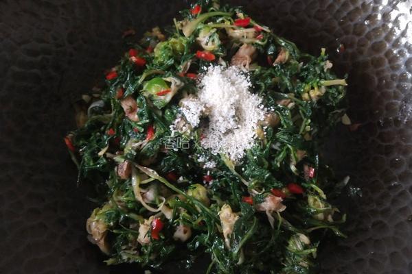 巧拌野菜的做法图解8