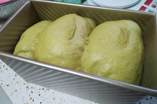 抹茶蔓越莓吐司的做法图解15