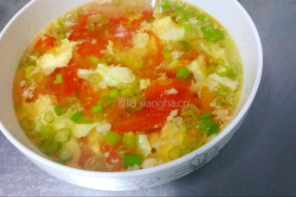 西红柿蛋汤的做法图解4