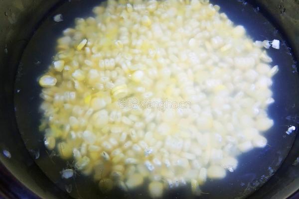 黄金玉米饼的做法图解3