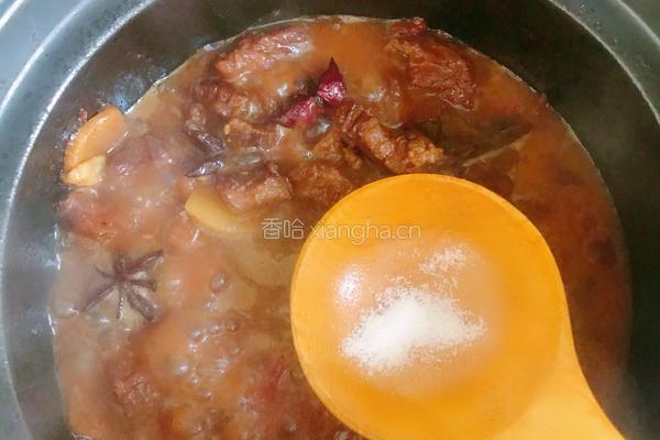 西红柿炖牛肉的做法图解24