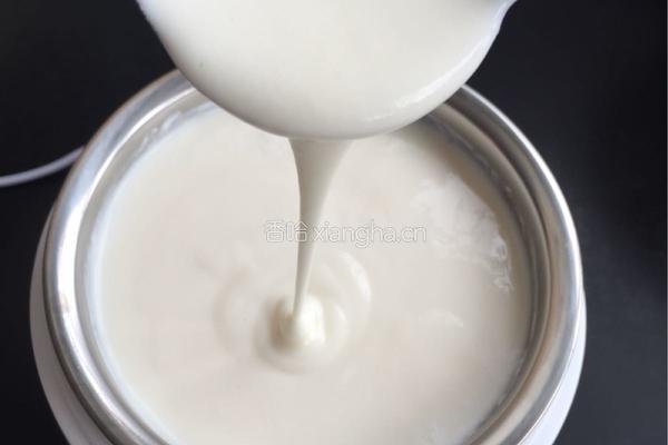 自制酸奶的做法图解11