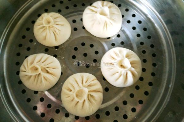 萝卜缨猪肉馅包子的做法图解24