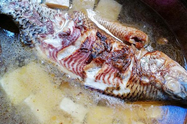 冻豆腐炖罗非鱼的做法图解6