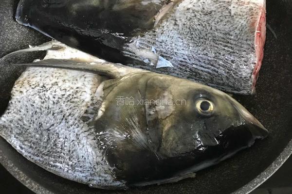 鱼头豆腐汤的做法图解5