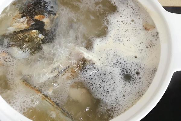 鱼头豆腐汤的做法图解12