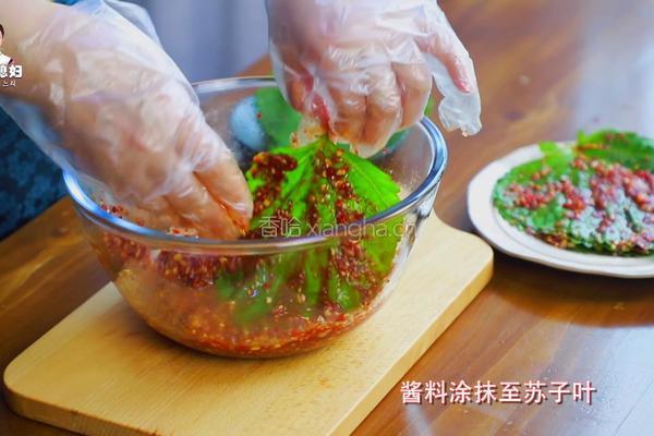韩国料理中最受欢迎的小菜-腌苏子叶，绝对的下饭利器的做法图解12