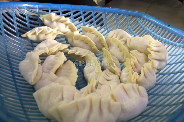 家常白菜猪肉馅饺子的做法图解5