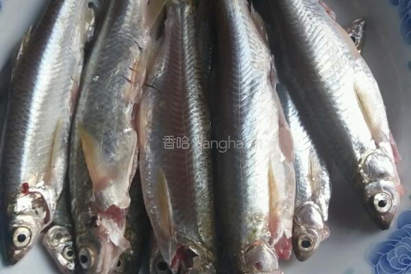 红烧麦穗鱼的做法图解1