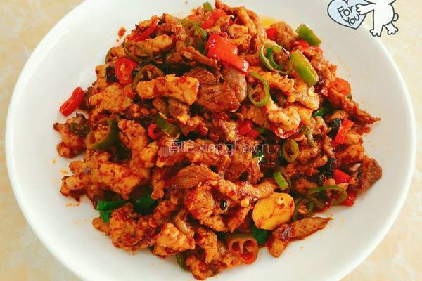 豆鼓辣椒炒肉的做法图解6
