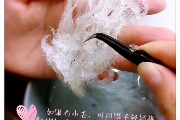 燕窝的做法图解2