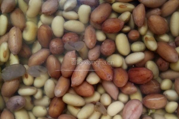 自制酱豆豉的做法图解1