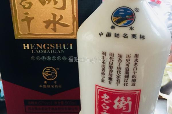 蓝莓酒的做法图解3