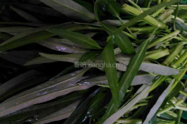 普宁豆酱炒空心菜的做法图解1