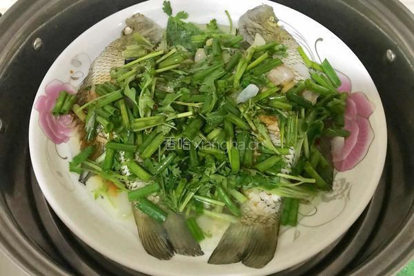 清蒸太阳鱼的做法图解5