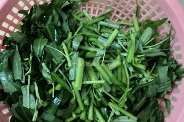 酸辣空心菜的做法图解1