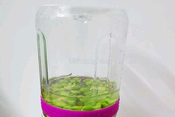 豌豆面线的做法图解5