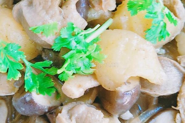 珍心蘑菇炖土豆的做法图解24