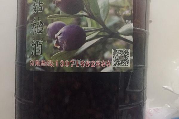 菇稔酒的做法图解3
