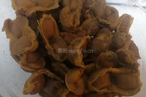 炖鸡胗的做法图解3