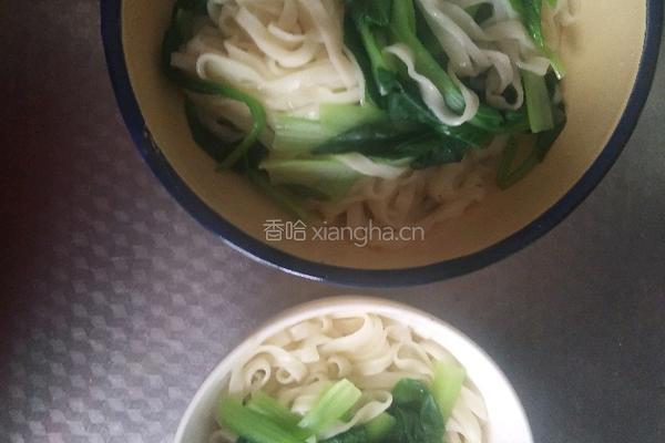素臊子面的做法图解6