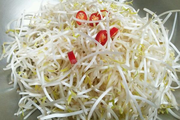 肉沫绿豆芽的做法图解3