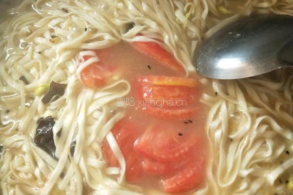 河南传统羊肉炝锅面的做法图解11