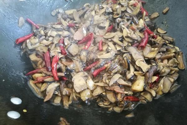 云南纯野生菌～黑牛肝菌的做法图解3