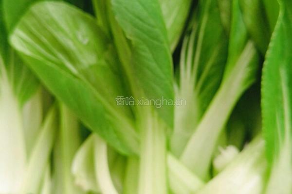 麻辣粉的做法图解3
