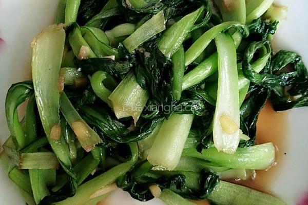 爆炒小白菜的做法图解8