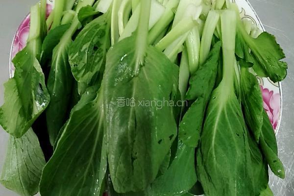 爆炒小白菜的做法图解2