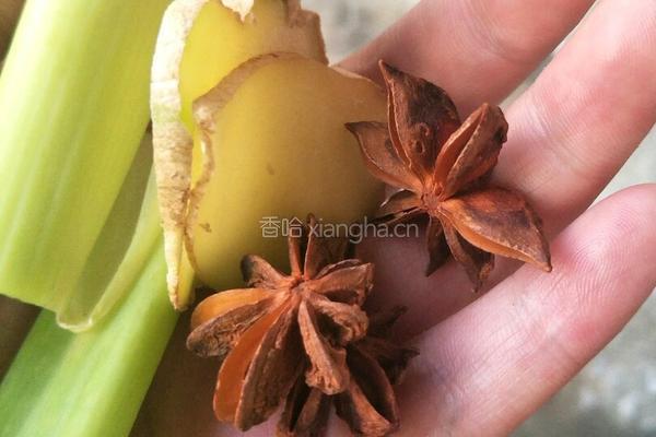 排骨玉米山药汤的做法图解8