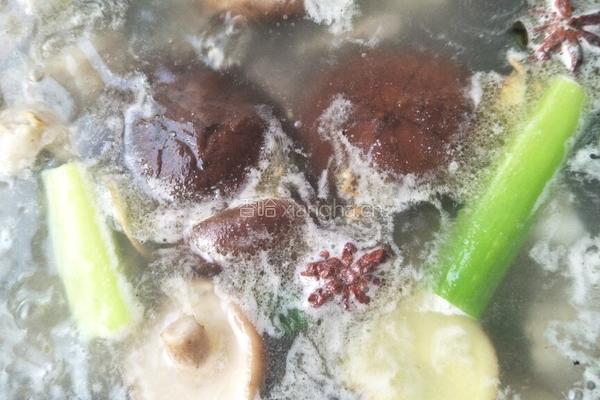 排骨玉米山药汤的做法图解14