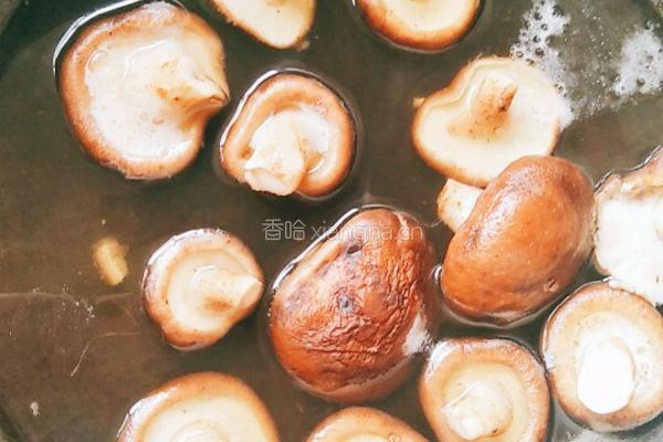 蘑菇瘦肉小米粥的做法图解12