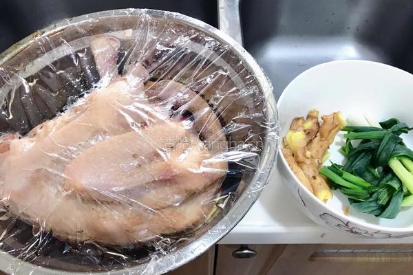 电饭煲焗鸡的做法图解3