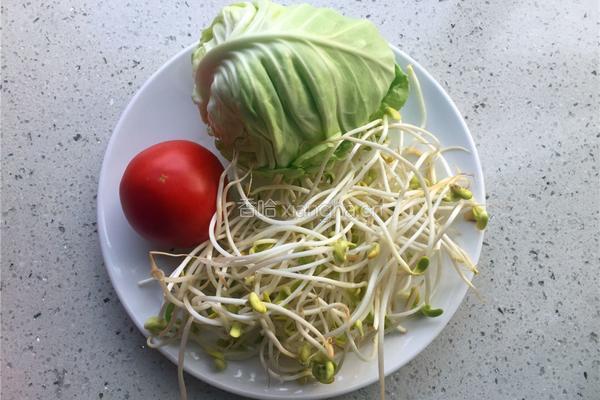 番茄豆芽炒卷心菜的做法图解1