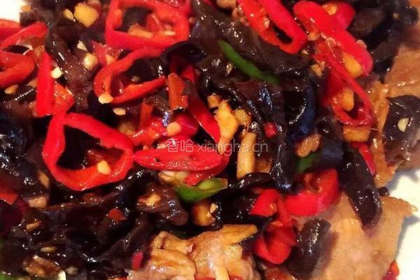 木耳炒肉的做法图解10