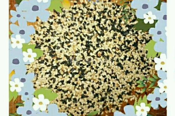 自制辣椒酱的做法图解1