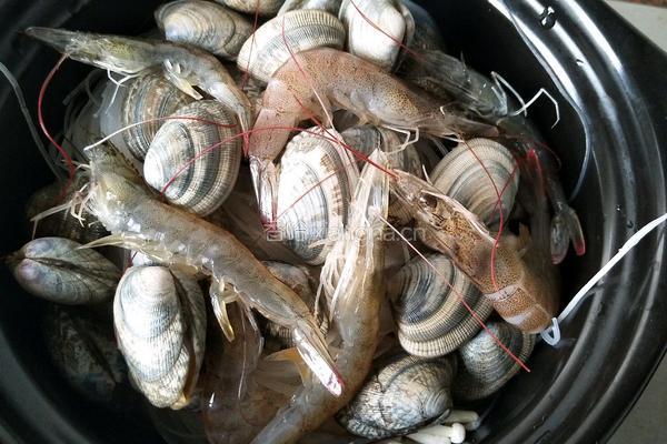 金针菇花甲粉丝煲的做法图解5