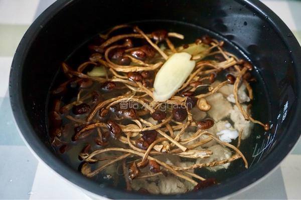 茶树菇排骨汤的做法图解4