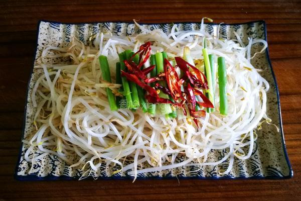 油淋绿豆芽的做法图解4
