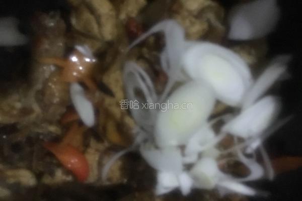 爆炒鸡的做法图解14